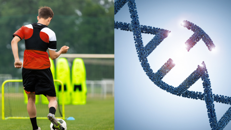 Influência genética nas respostas inflamatórias musculares em jogadores de futebol