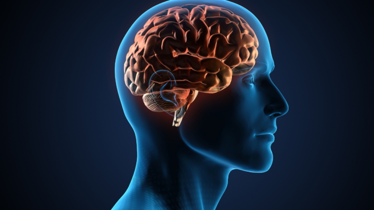Estudo aponta que movimentos reflexos involuntários podem prejudicar habilidades táticas e técnicas de jogadores de futebol